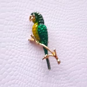 Colorful 🦜 Parrot painted Brooch/Pin